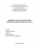 Sembrando patios productivos como sustento de alimentos durante el civid-19