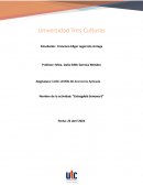 ¿Cómo afecta la oferta y demanda en la economía de México?