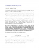 Transferencia de masa laboratorio. Práctica: Celda de Arnold