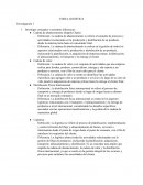 Cadena de abastecimiento (Supply Chain)