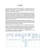 Reporte del Maiz