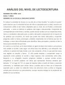 Análisis del nivel de lectoescritura