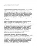 Es antidepresivo el tramadol