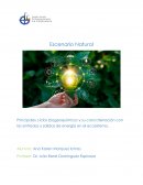 Principales ciclos biogeoquímicos y su concatenación con las entradas y salidas de energía en el ecosistema
