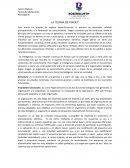 Teoría del adolescente