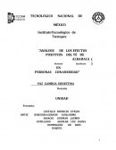 Análisis de los efectos positivos del té de albahaca en personas con ansiedad