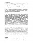 Virus denominado universalmente BCMV (Bean Common Mosaic Virus)