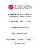 Caso clínico: Síndrome nefrítico