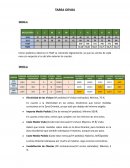 Organización de Equipo de Ventas