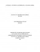 Estudio de caso pérdida de la capacidad laboral