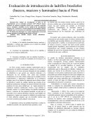Evaluación de introducción de ladrillos brasileños (huecos, macizos y laminados) hacia el Perú