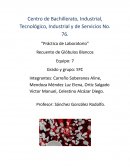 Recuento de leucocitos