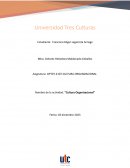 Cultura Organizacional. PEMEX