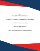 Ensayo eficiencia y eficacia