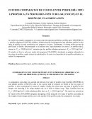 Estudio comparativo de costos entre perfilería tipo I (properca) vs perfilería tipo tubular (unicón)