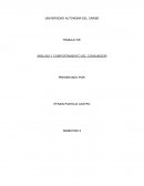 Análisis y comportamiento del consumidor