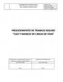 Procedimiento de trabajo seguro, Uso y manejo de lineas de vida