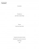 Caso práctico empresa española “Tiloud”