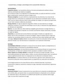 Características, ventajas y desventajas de los automóviles eléctricos