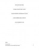 Primera revolución. Preguntas de investigación
