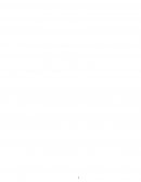 Ensayo La Defensa del Vado de Duffer