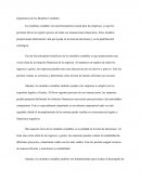 Importancia de los Modelos Contables