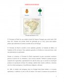 Virreinato de Brasil