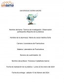 Técnica de investigación: Observación participante (Reporte de la práctica)