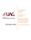 Resumen del libro “La estretiga del oceano azul” Por W. Chan Kim y Renée Mauborgne