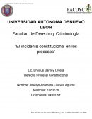 Incidente constitucional procesal