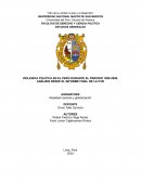 Violencia política en el Perú durante el período 1990-2000, análisis desde el informe final de la CVR