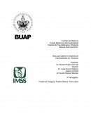 Identificación de los investigadores. Investigador resposanble