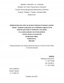 Producción de ají dulce