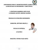 Proceso de atención enfermería El dengue