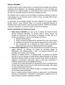 Antigua Grecia- Resumen