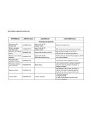Sistema cardiovascular