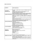 Modelo de negocios Coca Cola