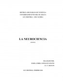 La neurociencia como una ciencia multidisciplinaria