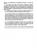 Taller de estimación de ingresos, costos y flujos de caja