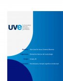 Psicoterapia y terapia cognitivo condutual