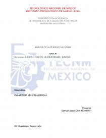 Aspectos de la identidad y raices. Hermenéutica histórica. Página 1