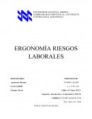 Ergonomía riesgos laborales