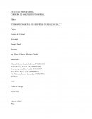 Compañia nacional de servicios y empaques S.A.C