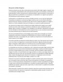 Disrupción de Mario Borghino