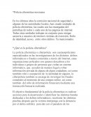 Policía cibernética mexicana