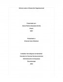 Informe sobre el Desarrollo Organizacional