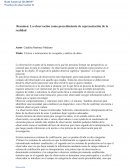 Técnica e instrumentos de recogidas y análisis de datos