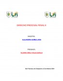 Derecho procesal penal II. Recursos devolutivos y no devolutivos