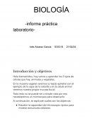 Biología informe práctica laboratorio