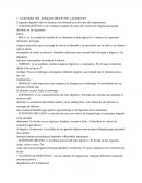 Anatomía del aparato digestivo del ser humano